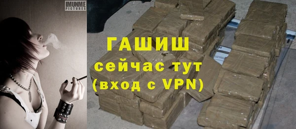 гидра Балахна