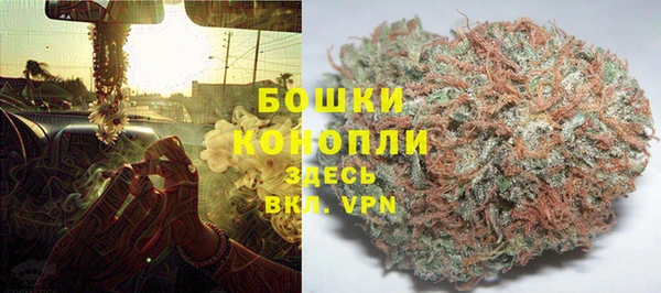 гидра Балахна
