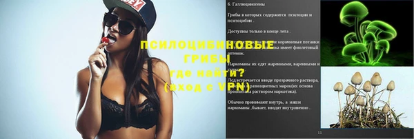 гидра Балахна
