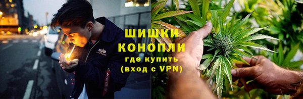 гидра Балахна